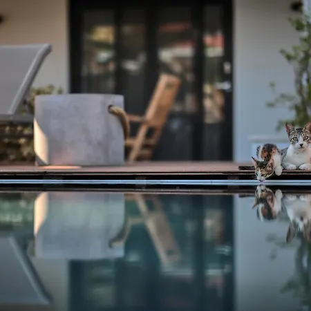 Panzió Cunda Pier 4*