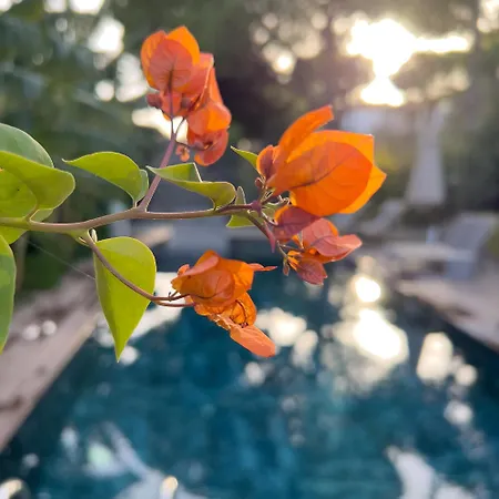 Cunda Pier Panzió Ayvalı